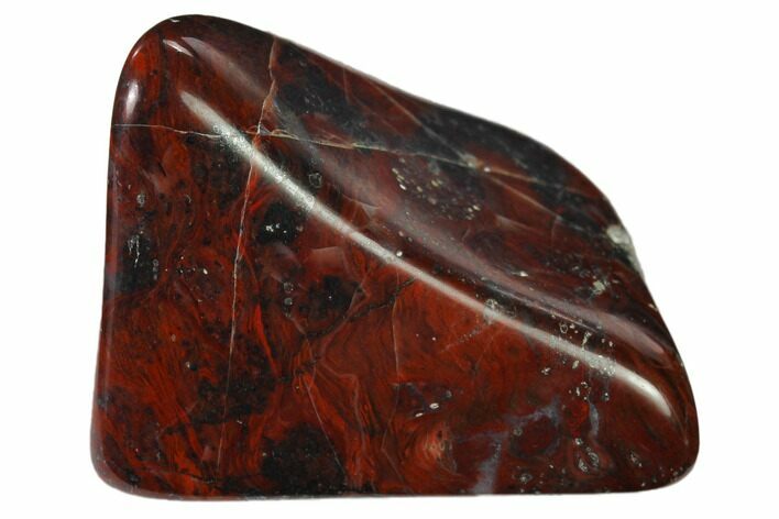 Polished Stromatolite (Collenia) - Minnesota #136909